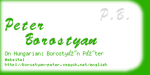 peter borostyan business card